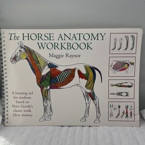 The Horse Anatomy Workbook by Maggie Raynor Learning Aid for students